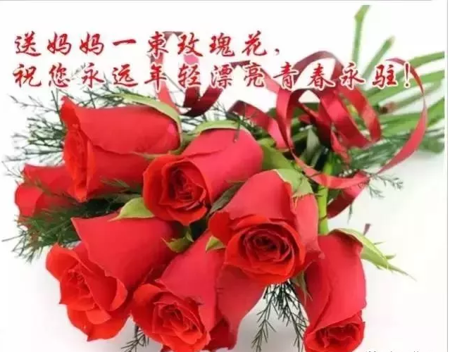 开云体育网页版登入
祝全天下所有的妈妈母亲节快乐！